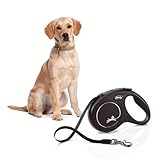 flexi® Classic M Gurt 5 m schwarz, Roll-Leine für Hunde bis 25 kg