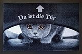 Fußmatte Tiere Eulen Katzen Hunde Blumen für Innen und Außen Home 40x60 cm wetterfest rutschfest waschbar (Katze Tür)