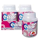 Extra Mints | Professional Waldfrucht | Zuckerfrei | Pastillen zum Lutschen | 6 Packungen (6 x 70 Mints)