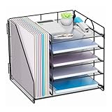 Restorgan Schreibtisch Organizer mit Aktenhalter, 5-stöckiges Papier Briefkasten Organizer, Desktop Organizer und Aufbewahrung, Mesh Schreibtisch Organizer und Zubehör für Bürobedarf zu Hause(Schwarz)