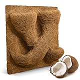 ProFlora® Terrarium Rückwand mit Pflanztaschen - Nachhaltige Rückwand aus Kokosfasern für eine natürliche Atmosphäre (30 x 30 cm)