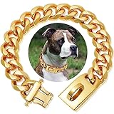 Goldenes Rostfreier Stahl Hundehalsband Metall Hundehalsband Hundekette Pet Halsband für mittlere und große Hunde(55cm)