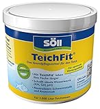 Söll 81792 TeichFit 500 g - Grundpflegemittel, Teich Wasseraufbereiter, Stabilisator für Teichwasser im Gartenteich Fischteich Koiteich Schwimmteich
