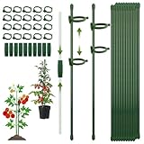 CNMTCCO Pflanzenstütze, Rankhilfe, 20 Stück Pflanzstäbe, mit 20 Karabinern Ausgestattet, mit 10 Verlängerungsrohren, Tomaten Rankhilfe, Staudenhalter, Pflanzen Stütze, Wetterfest & Stabil (90PCS)