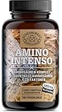 AMINO INTENSO® Aminosäuren Komplex hochdosiert - WICHTIG: Laborgeprüfte Aminosäuren Tabletten mit 12 Aminosäuren MIT EAA Pattern -6000mg Tagesdosis- Amino -180 Stk -DE- SCHEUNENGUT®