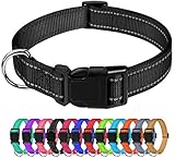 TagME Nylon Hundehalsband, Verstellbares Reflektierendes Hundehalsband mit Sicherheitsschnalle für Kleiner Hund, Schwarz, 1.5cm Breite