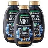 Reinigendes Shampoo, magnetische Kohle & schwarzes Samenöl von Nigella für fettige Haut, trockene Längen, entfernt sofort Verunreinigungen und spendet Feuchtigkeit, 72 Stunden, 250 ml (3 Flaschen)