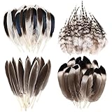 Muorruo 120 Stück Naturfedern, kleine Großpackung, für DIY-Bastelarbeiten, Hüte, Hochzeiten, Karneval, Heimpartys, Dekorationen, gemischte Federn für Traumfänger-Bastelarbeiten