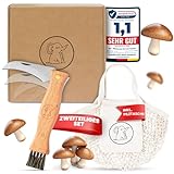 Eli® Pilzmesser mit Bürste und Tasche aus Baumwolle - hochwertiges Schwammerlmesser mit Pinsel - Taschenmesser - Klappmesser - Gartenmesser - Gartenhippe - Pilzbürste - Beutel - Schnitzmesser