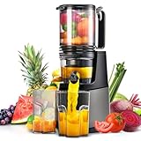 MAISON HUIS Entsafter Slow Juicer mit 13.5cm Extra Großem Einfüllschacht für Ganze Früchte und Gemüse, leicht zu Reinigen Entsafter Gemüse und Obst, Hohe Saftausbeute Juicer Machine,Grau