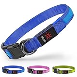 Ezierfy Leuchthalsband Hund - Leuchtendes Hundehalsband Aufladbar LED Hundehalsband Wasserdichtes Einstellbare Hunde Halsband für Kleine Mittlere Große Hunde (Blau, Klein)