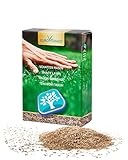 Premium Schattenrasen Rasensamen & Grassamen | Schnellkeimende Rasensaat für Dichten Rasen im Schatten | Nachsaat Rasen Schnellkeimend im Herbst | Pflegeleicht Schattenrasen Samen – 1 kg für 40 m²