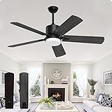 Biukis Deckenventilatoren mit Beleuchtung 132 cm Deckenventilator, Fernbedienung LED-Licht 3 Farben 6 Geschwindigkeiten Wind einstellbar, DC-Motor umkehrbar für Innenhof Außen Innen