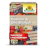 Neudorff Azet Beeren- & ObstDünger – Bio-Dünger für mehr Geschmack und reiche Ernte bei Beeren und Obst mit natürlicher Sofort- & Langzeitwirkung, 2,5 kg