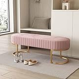 Schuhbank mit Kissen, Metall-Eingangssitz, platzsparend, Schuh-Organizer, stilvolle Flur-Möbel für Wohnzimmer und Schlafzimmer