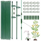 Pflanzenstütze, Rankhilfe, 20 Stück Pflanzenhalter, mit 20 Karabinern Ausgestattet, mit 10 Verlängerungsrohren, Tomaten Rankhilfe, Rankhilfe Zimmerpflanzen, Staudenhalter, Pflanzen Stütze（90PCS）