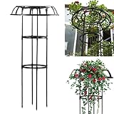 Rostfreies Metall-Glyzinien-Regenschirm-Spalier, 105 cm, Pflanzenstützrahmen für Kletterpflanzen, Gartenblumen, langlebiges Rankgitter und Obelisk für Gärten im Freien