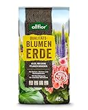 Allflor Blumenerde 1 x 45 L I gebrauchsfertige Universalerde I hochwertige Erde im 45 Liter Beutel I Für alle Balkon- und Zimmerpflanzen geeignet I Enthält alle wichtigen Pflanzennährstoffe