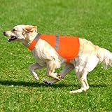 Warnweste Hund mit reflektierenden Elementen für Outdoor Aktivitäten Tag und Nacht, Verstellbar Sicherheitsweste für Hunde für Hält den Hund Sichtbar mehr Sicherheit im Dunkeln Orange