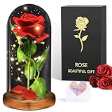 BOLEi Ewige Rose im Glas für Sie, Romantische Rosen für Frauen,Die Schöne und das Biest Ewige Rose, Rose im Glas mit LED Licht für Freundin Oma Frau Jahrestag, Festival Überraschung Rose für Freundin