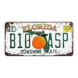 Florida B10 ASP Auto Nummernschild Auto Tag Home/Cafe Bar/Pub/Restaurant/Ausstellung Wand Decor Vintage Plaque