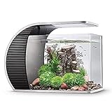 hygger LED Glasaquarium-Set 19 Liter, Panoramaaquarium geschwungene Frontscheibe mit verborgenem Filter, LED-Beleuchtung (3 Farbmodi zur Auswahl)