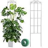 Pflanzgitter Set,Kletterpflanzen Rankhilfe Garten Rankgitter Metall Stützen für Pflanzenhalter Zimmerpflanzen,Balkon Pflanzenstütze Pflanzengitter,Blumenstütze Gitterspalier Topfpflanzen (05)