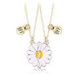 Hifot 2 Stück Halskette Damen Silber Freundschaftskette, Bff Ketten für 2 Mädchen, Halskette Blume Gänseblümchen Anhänger, Modeschmuck Halskette für Freundin Geschenk Personalisierter Schmuck