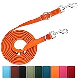 PETCOOZ Hundeleine 3 m Verstellbare Schleppleine, Verdickte Doppelleine Führleine für Hunde bis 30 kg für Kleine Mittelgroße Hunde, Freihandleinen Übungsleine aus Nylon mit 2 Karabiner, Orange