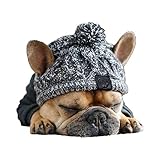 Carolilly Gestrickte Wintermütze Hundemütze Hundehut Haustier Bekleidung Herbst Winter Strickmütze Warme Kappe für Hunde Party Fotografie Kostüm (Grau, M)