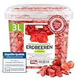 Detox Organica GEFRIERGETROCKNETE ERDBEEREN, 300g Früchte in Scheiben, 100% Trockenfrüchte natürlich und ohne Zusatz von Zucker oder Zusatzstoffen (300g)