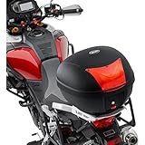 QBag Motorradtopcase Monolock Topcase Basic 28 Made by Givi, einfach abnehmbar, Universaladapterplatte, sehr haltbar, Schwarz, 28 Liter