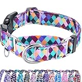 Fidohug Reflektierendes Martingal-Halsband für Hunde mit Schnellverschluss-Schnalle, kein Ziehen, Trainings-Hundehalsband (bunt, geometrisch, Größe M)