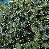 Vogelschutznetz Stabil GemüSeschutznetz Netz Vogelschutz HüHnergehege Maschenweite 1.5x1.5cm Pool Netz für Garten, Balkon oder Teich Kirschbaum,5x10m