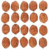 HOODANCOS Künstliche Walnuss Deko 20 Stück Realistische Walnuss Modelle Langlebige Fotorequisiten für Home und Shop Dekoration