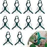 Generisch 100 Artikel Pflanzenclips, Wiederverwendbare Pflanzenklammern Groß, Klammern für Pflanzen, Tomaten Klammern, Pflanzen Clips für Unterstützen und Halten Garten Pflanzen