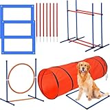 Hundetrainingsgerät-Set mit Tunnel, Reifensprung, Hürde und gewebten Stangen, für Innen- und Außenagility-Spiele