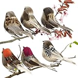 xlwen Künstliche Vögel mit Federn und Clip, 6 Stück, Braun, Klassisch, Vogel, Mehrzweck