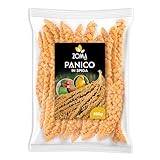 ZOMA PET Panikähren für Papageien, 500 g, natürliches Papageienfutter, ideal auch für Kokoriten und exotische Vögel – Made in Italy