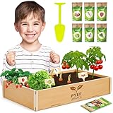 Mini Garten Kinder Komplettset - Gemüse Indoor Kräutergarten Geschenk Anzuchtset Pflanzen - Gartenset Kinder Anzuchtset - Komplettes Saatgut Pflanzenzucht Set