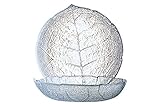 Luminarc ARC 10373 Aspen Puddingteller, 14,5 cm, Glas, transparent, 6 Stück