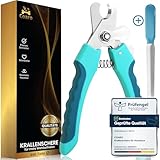 COARO Krallenschere für Hunde und Katzen mit hochwertigem Stopper als Verletzungsschutz - inklusive stabiler Fixierung - Krallenschneider mit professioneller Feile - aus robustem Edelstahl (S)