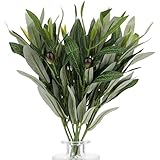10 Stück Künstliche Olivenzweige, 40cm Simulation Olivenbaum Deko Grüner Olivenbaum Künstlich Deko Olivenbaum Künstlich Künstliche Zweige Deko für Hochzeit,Garten,Haus, Büro, Indoor Outdoor Dekoration