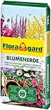 Floragard Blumenerde 20 Liter - Premium Universalerde mit Ton und Langzeitdünger - mit regionalen nachwachsenden Rohstoffen - für Zimmerpflanzen, Terrasse und Garten