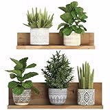 Wandtattoo Pflanzen 3D Grüne Pflanze Wandsticker Topfpflanze Wandaufkleber Blumen Kaktus Wandbilder Bonsai Vase Selbstklebend Wall Sticker Entfernbarer für Küche Wohnzimmer Bad Büro Wanddeko (D)