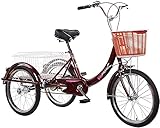 IPAGSEFWE Dreirad für Erwachsene, Adult Tricycle 3 Wheel Bike 20 inches Single Speed with Basket Multicolor