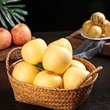 apfelbaum kaufen samen - obst plant winterharte stauden mehrjährig pflanzen für garten dekoration wohnzimmer balkonpflanzen seltene blumen 750pcs