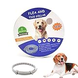 Zeckenhalsband für Hunde, Flohhalsband Hunde, Flohhalsband, Verstellbar, bis zu 8 Monate Zeckenschutz, Natürlich & Wasserdicht, 64cm(Asche)