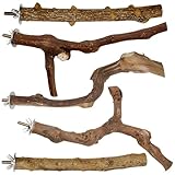 Woohome 5 Stück Natur Sitzstangen für Vögel, Vogelstange aus Holz, Vogel Spielzeug Sitzstangen Set für Wellensittich Nymphensittich Kanarienvogel