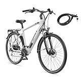 TELEFUNKEN E-Bike Herren Elektrofahrrad Alu 28 Zoll mit 24-Gang Kettenschaltung, Pedelec Trekkingrad mit Hinterrad-Motor 250W 11,6 Ah, 36V Akku, XC941 Expedition